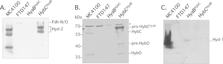 FIG 5