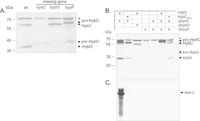 FIG 2