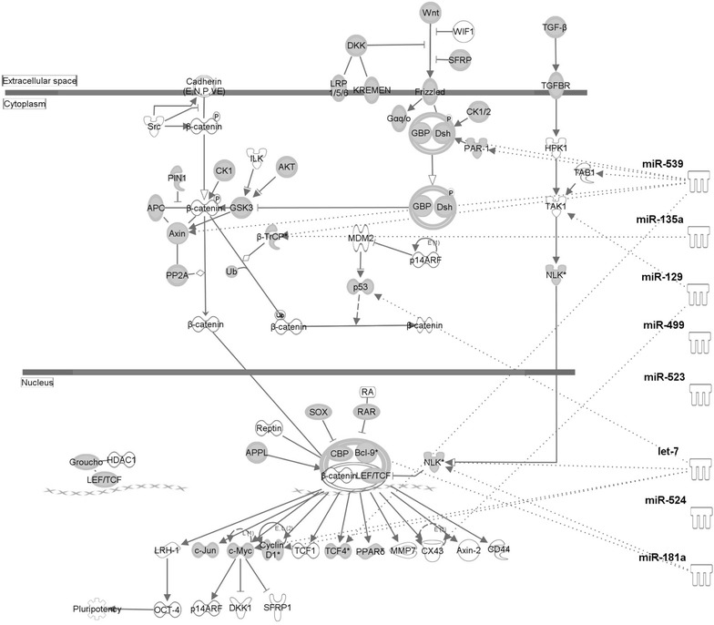 Fig. 3