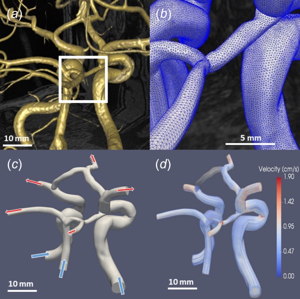 Fig. 1