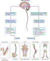 Figure 9 |