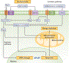 Figure 5 |