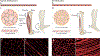 Figure 6 |