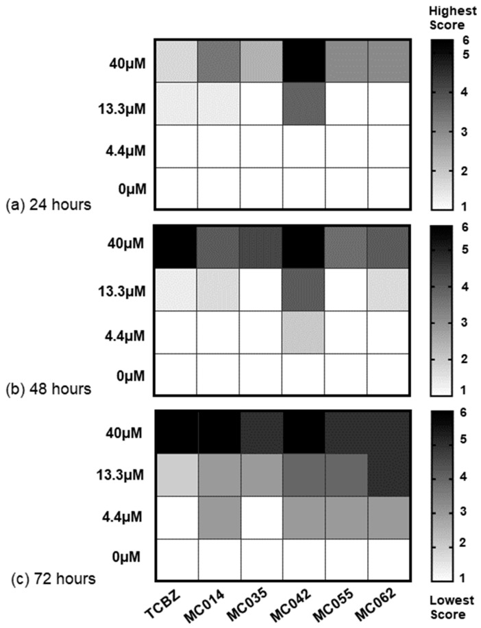 Figure 7