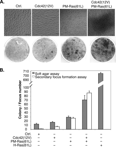 FIG. 9.