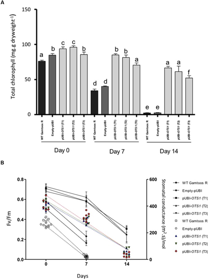 FIGURE 3