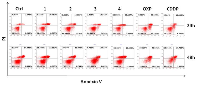 Figure 12