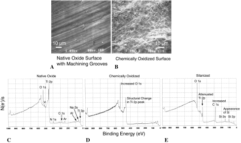 Fig. 4A–E