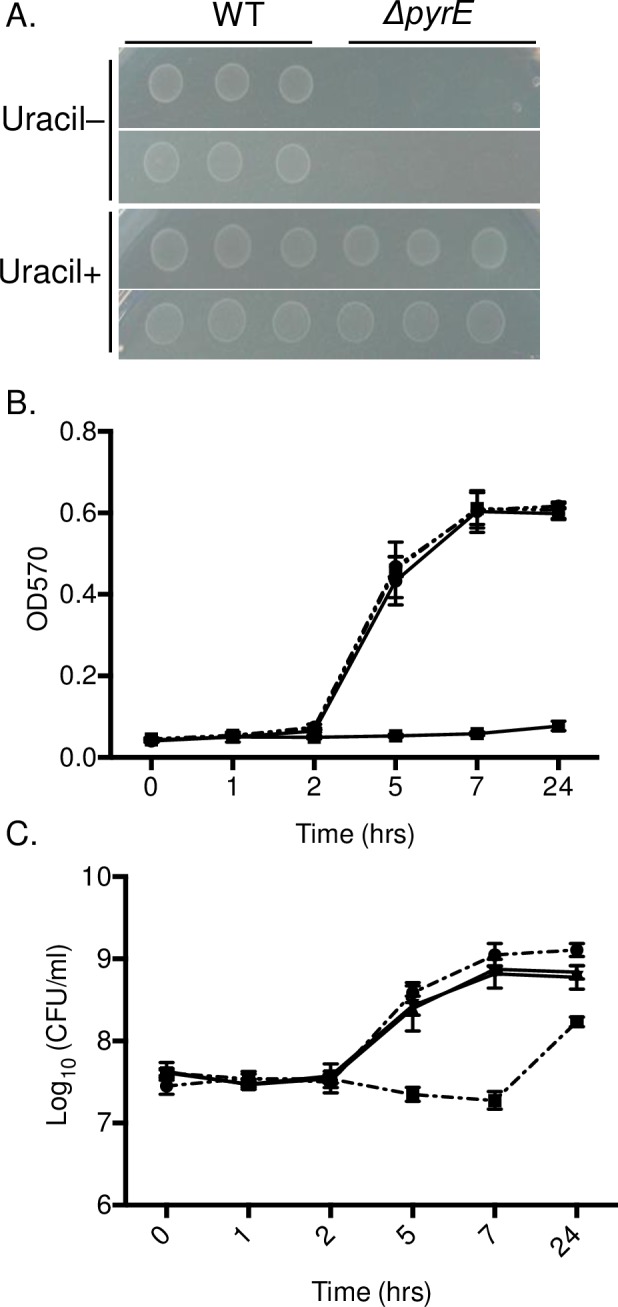 Fig 4