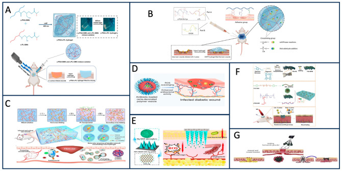 Figure 11