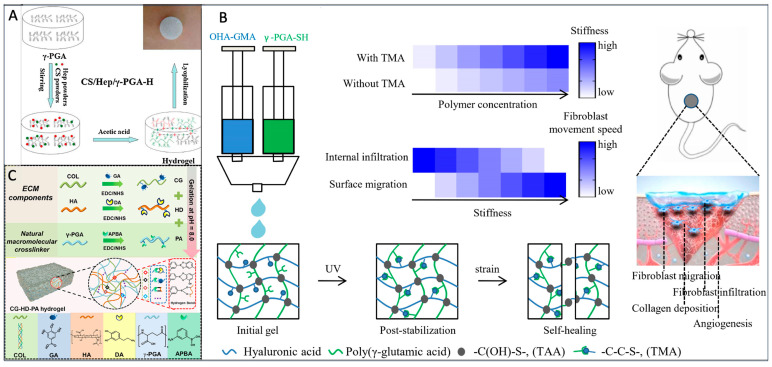 Figure 12