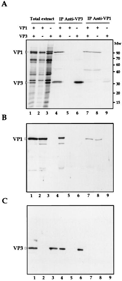 FIG. 9