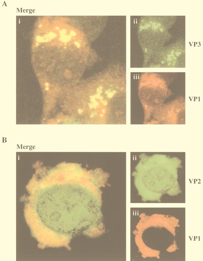 FIG. 8