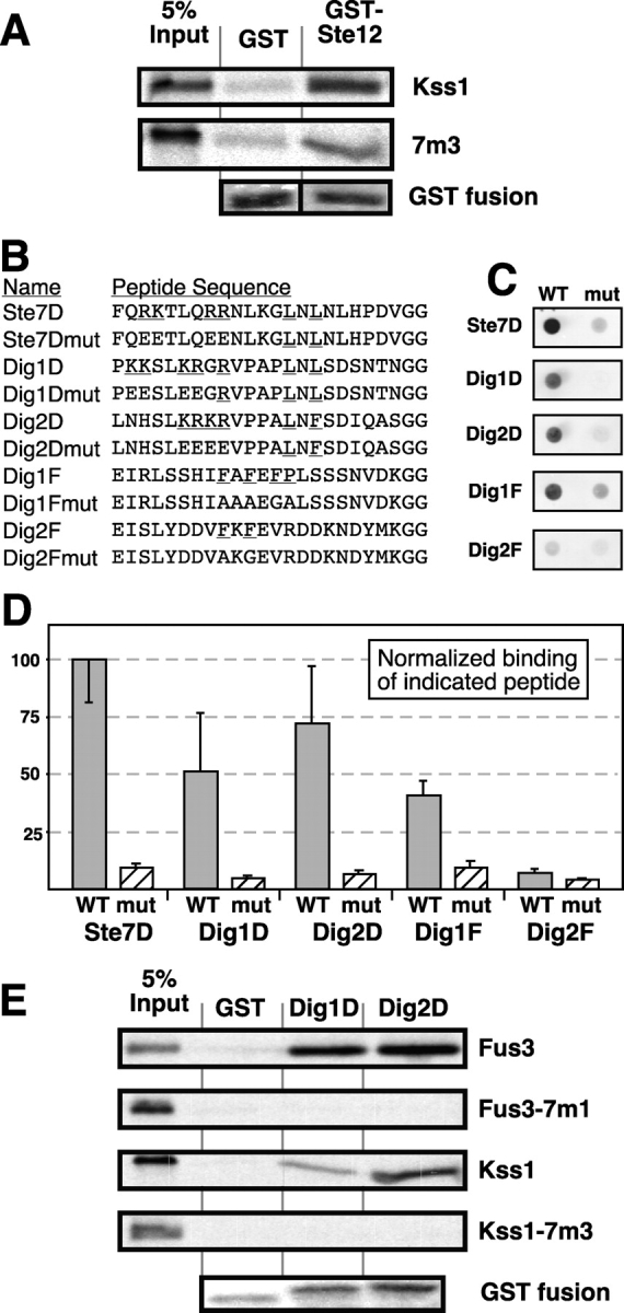 Figure 6.