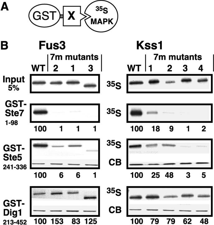 Figure 2.