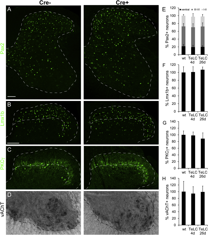 Figure 6