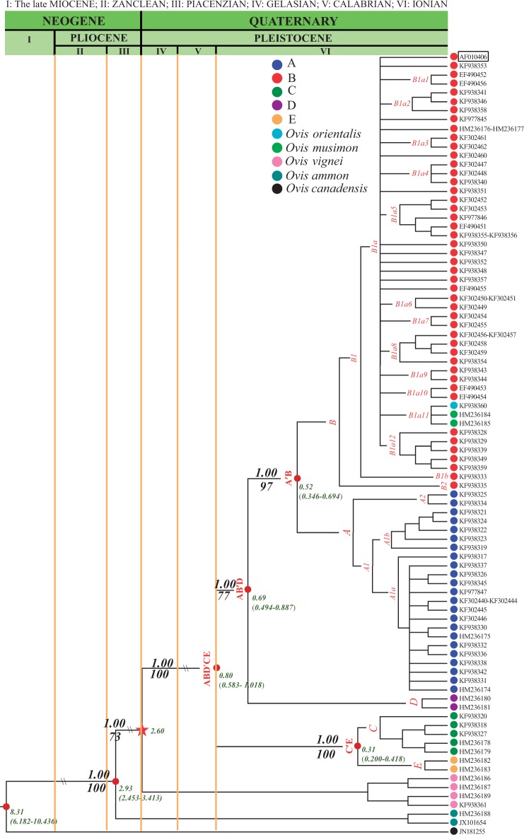 Fig. 4.