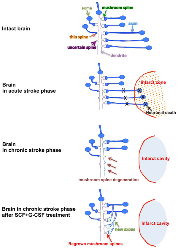 Fig. 3.