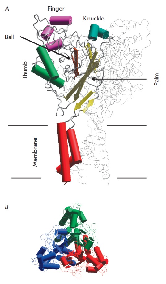 Fig. 3