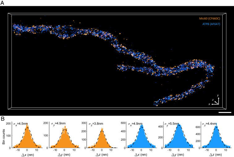 Fig. 1.