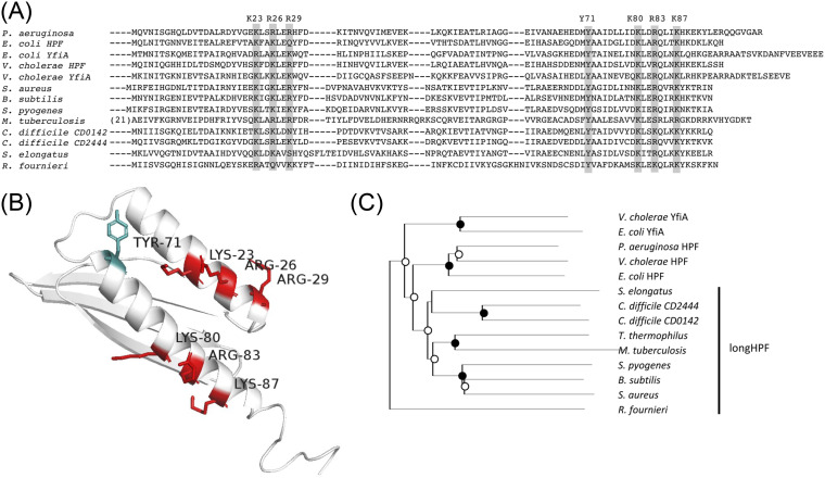 FIG 2