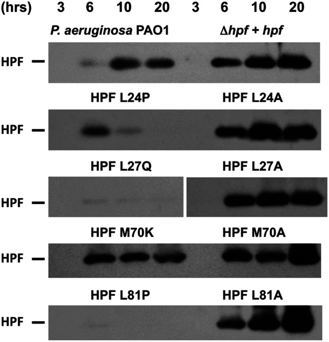 FIG 6