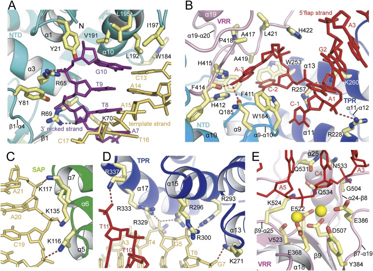 Figure 3.