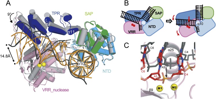 Figure 5.