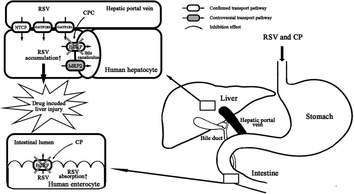 FIGURE 7