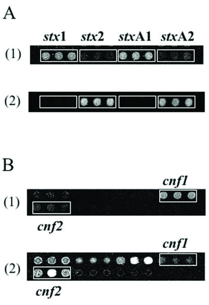 FIG. 4.