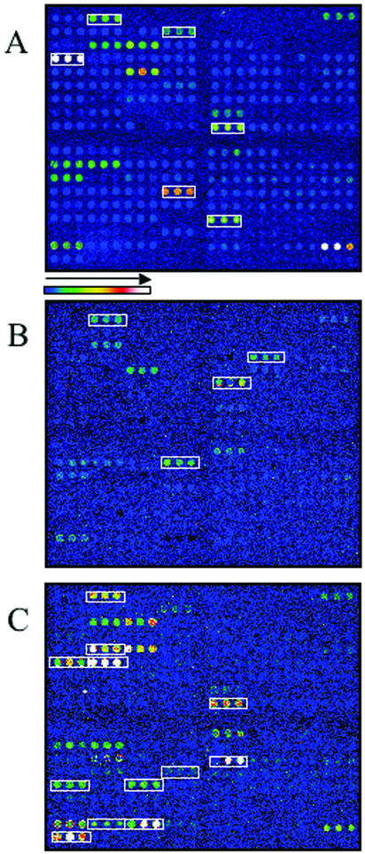 FIG. 3.