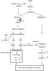 Fig. 10