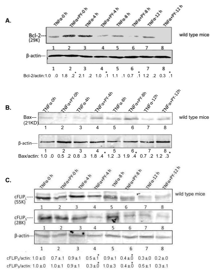 Fig. 9