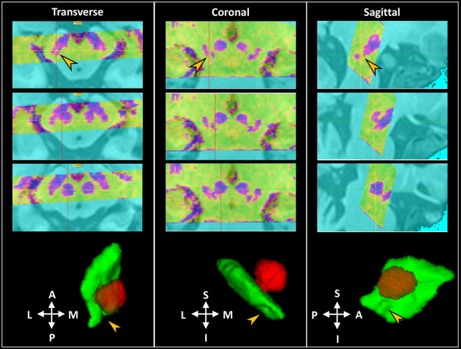 Figure 3. 