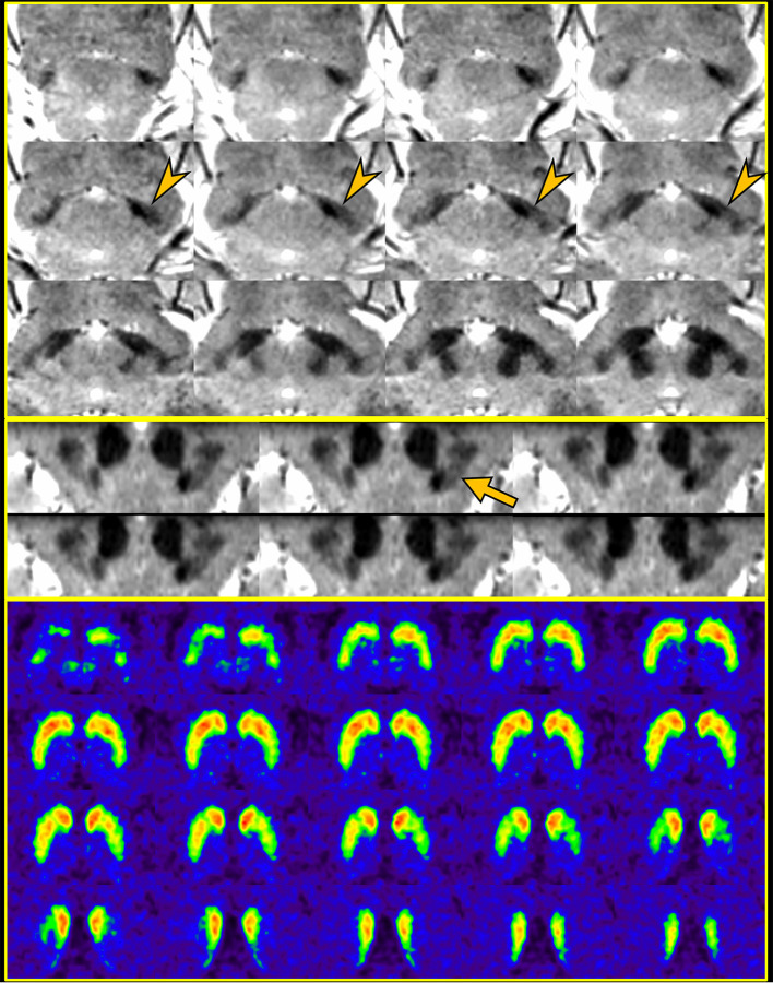 Figure 12.