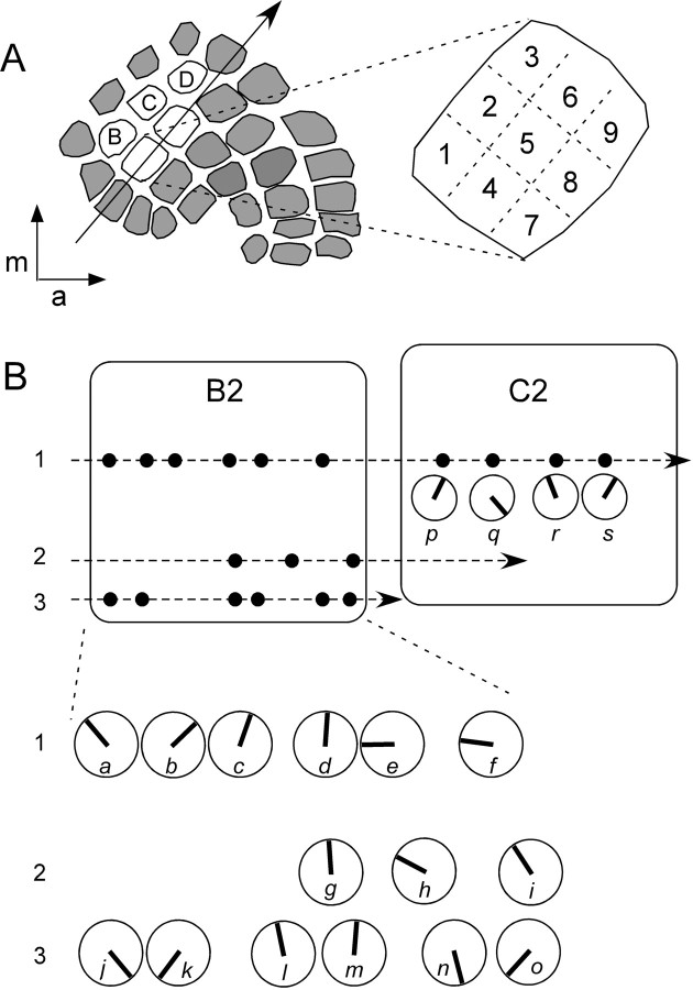 Figure 8.