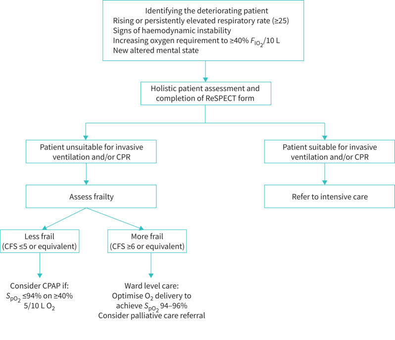 FIGURE 1