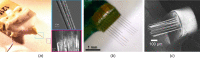 Three sample carbon fiber MEAs (a) a bundle of 16 carbon fiber electrodes [13], (b) 2 × 8 carbon fiber array [11], and (c) 32 channel carbon fiber array assembled by Massey et al.