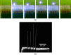 Experiment III results: (a) snapshots of ongoing cutting and sharpening process to get an array of carbon fiber in different lengths (with l1 = 1.2 mm, l2 = 1.2 mm, l3 = 1.6 mm, and l4 = 1.4 mm in Fig. 6) and (b) SEM image of the array