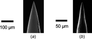 Sharp tip of metal microwire: (a) stainless steel microwire by chemical etching [31] and (b) tungsten microwire by ECM with KOH solution