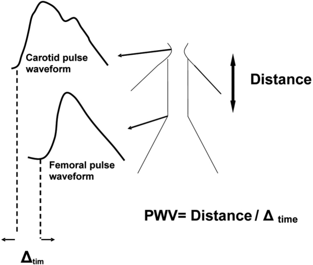 Figure 3: