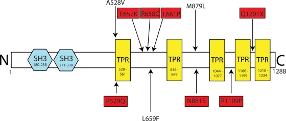 Figure 1.