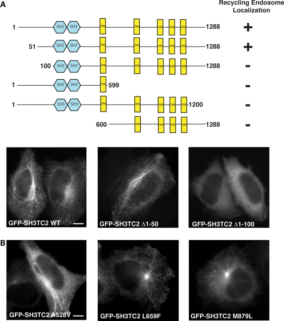 Figure 4.