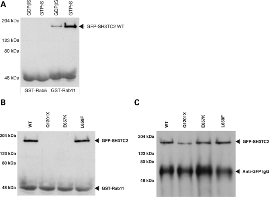 Figure 5.