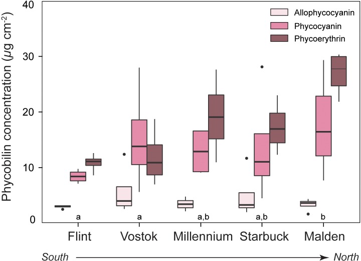 Fig 5