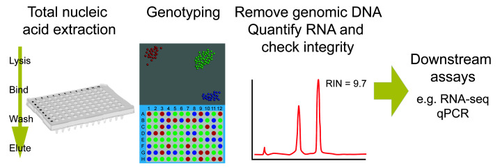 graphic file with name BioProtoc-12-01-4284-ga001.jpg