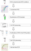 Image, graphical abstract