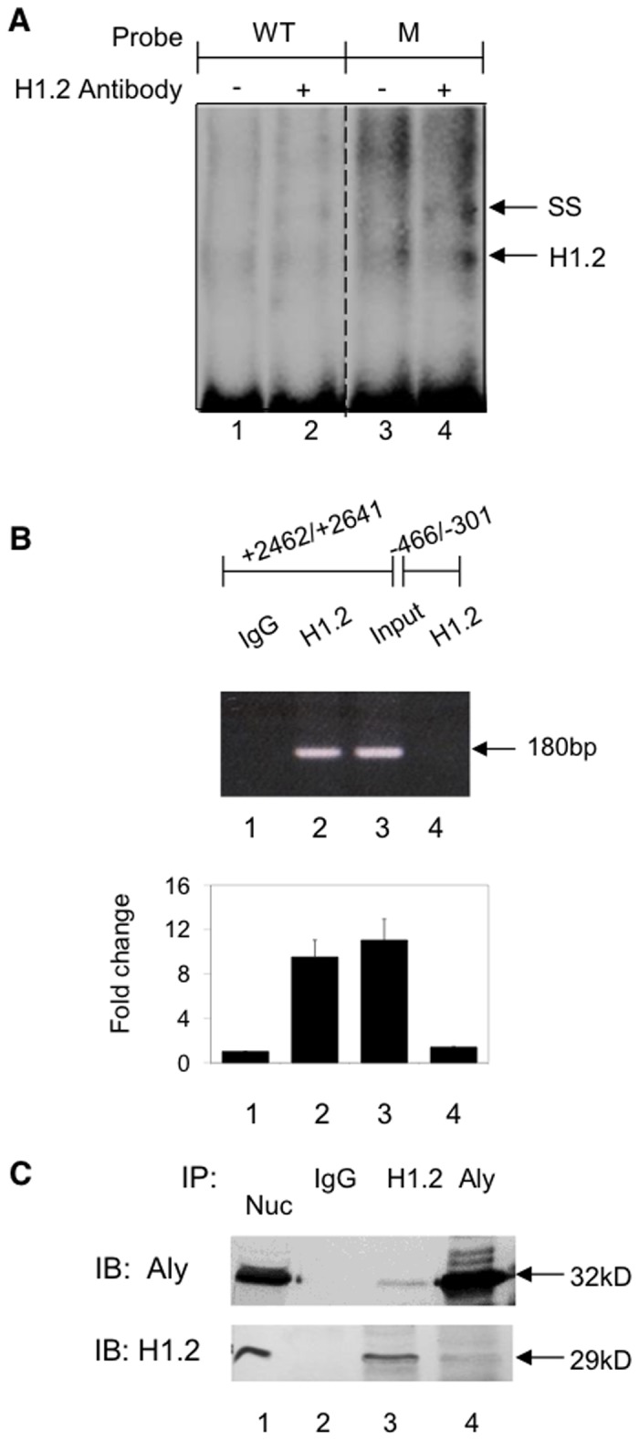 Fig 4