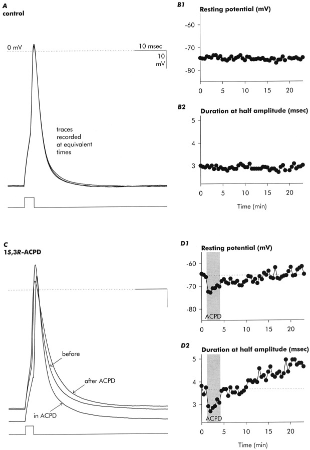 Fig. 12.