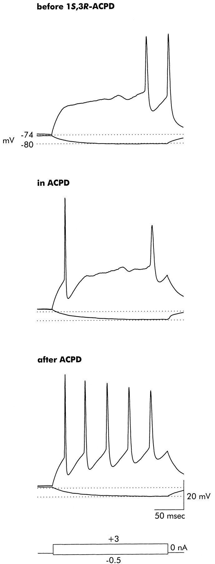 Fig. 11.